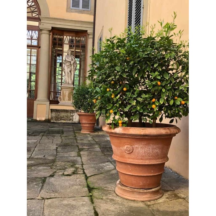 Vaso festonato con rosetta in terracotta Impruneta | Terrecotte Cestenoli