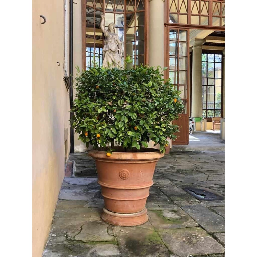 Vaso festonato con rosetta in terracotta Impruneta | Terrecotte Cestenoli