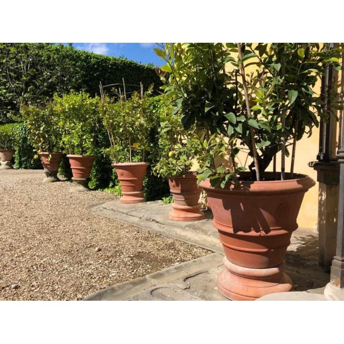 Base in terracotta | Terrecotte Cestenoli