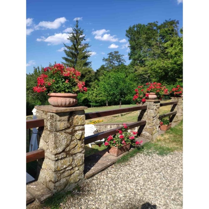 Ciotola baccellata in terracotta | Terrecotte Cestenoli