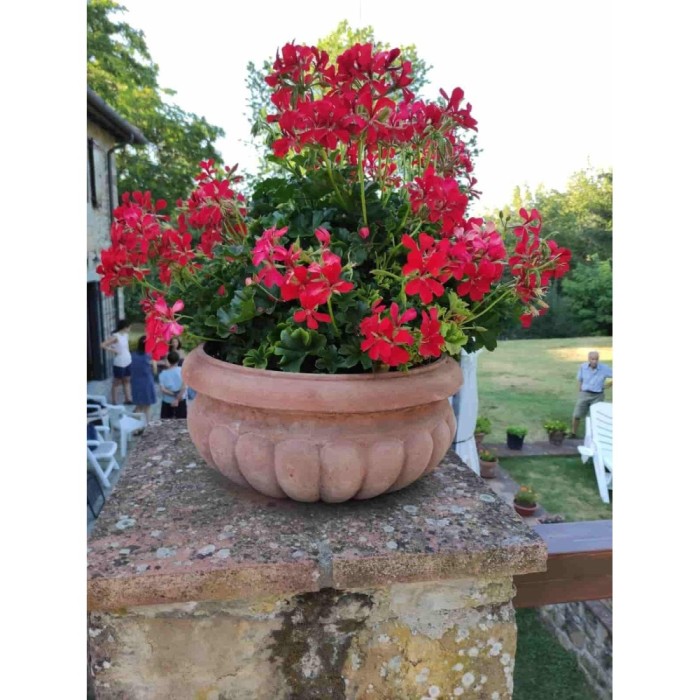 Ciotola baccellata in terracotta | Terrecotte Cestenoli