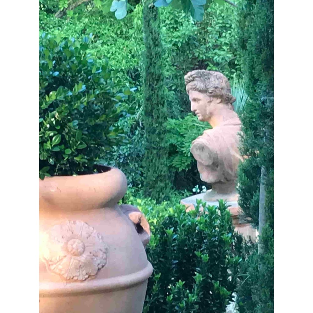 Terracotta Bust of Dionysus