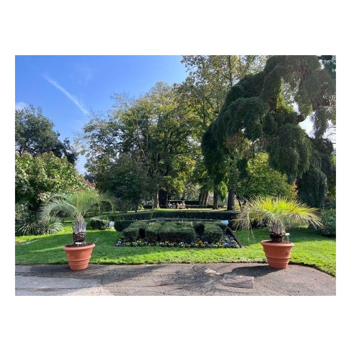 Vaso festonato con rosetta in terracotta Impruneta | Terrecotte Cestenoli