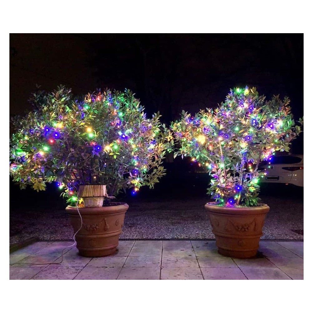 Festooned Vase with Rose in Impruneta Terracotta