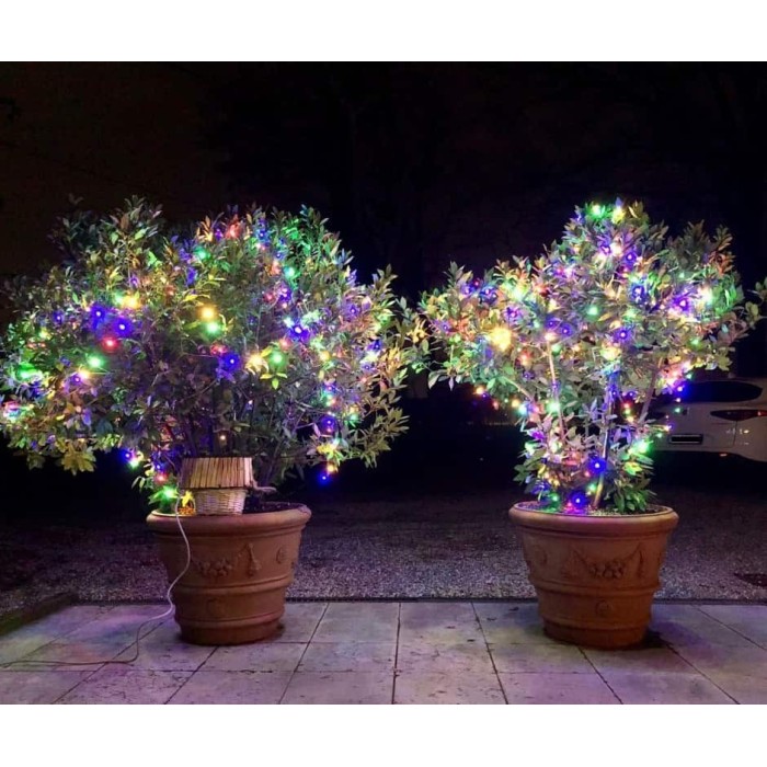 Festooned Vase with Rose in Impruneta Terracotta