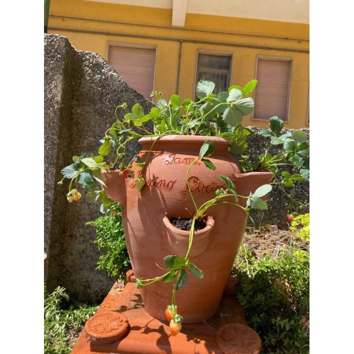 Orcio fragoliera a tornio in terracotta | Terrecotte Cestenoli