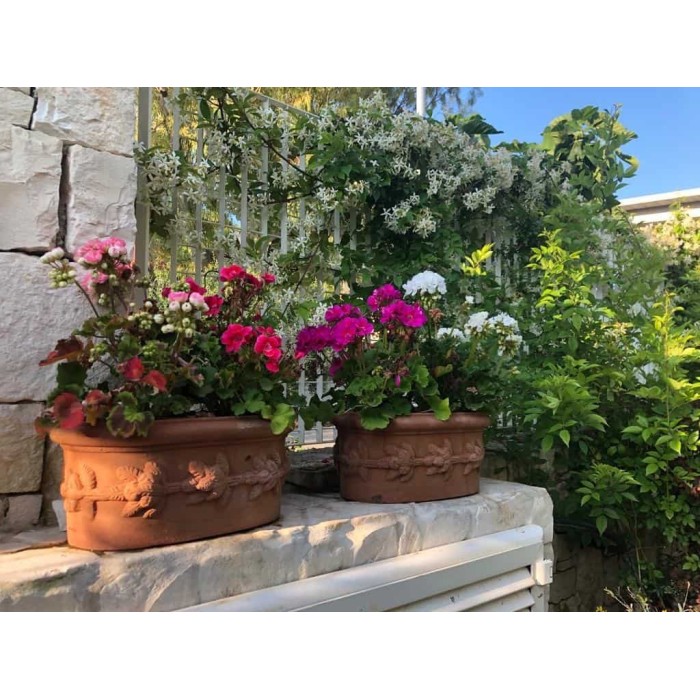 Ovale con frutta in terracotta | Terrecotte Cestenoli