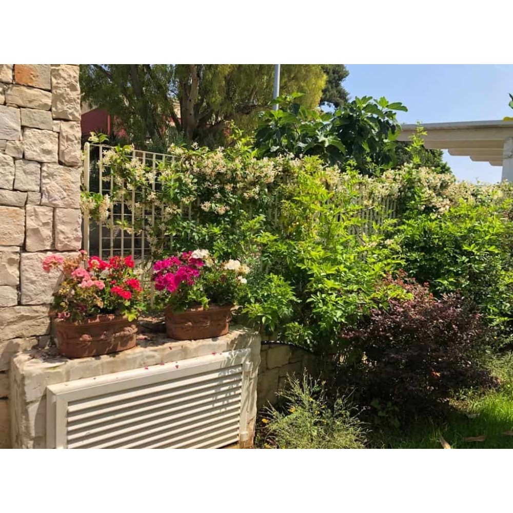 Ovale con frutta in terracotta | Terrecotte Cestenoli