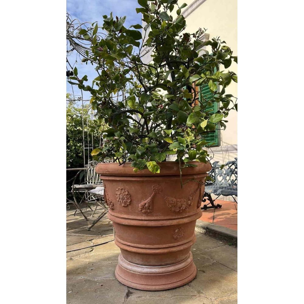 vaso festonato con rosone in terracotta d'Impruneta, shop online!