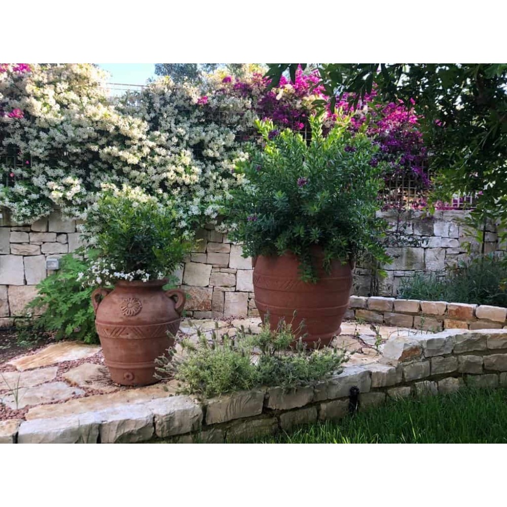 Orcio in terracotta| Terrecotte Cestenoli