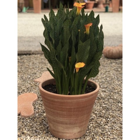 Smooth Modern Turned Terracotta Vase 2