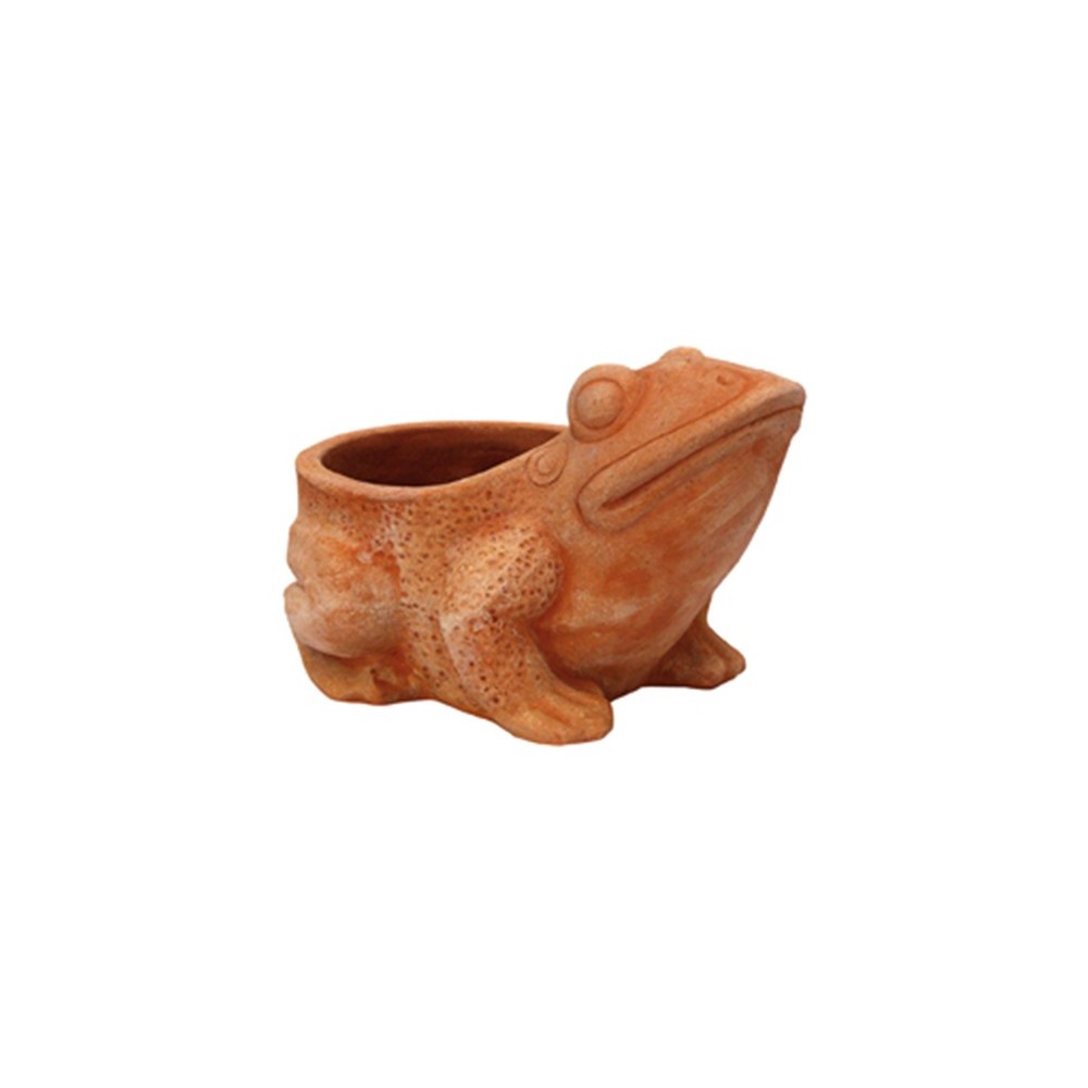 Open Clay Frog