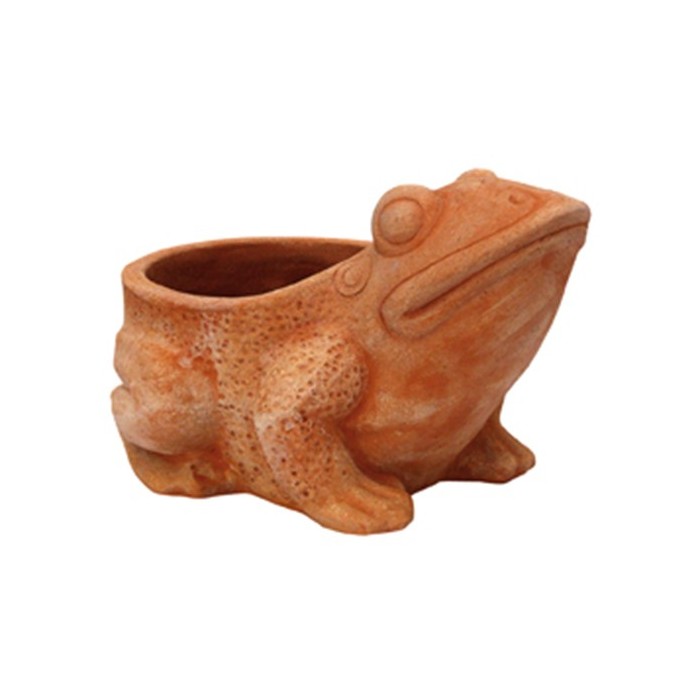 Open Clay Frog