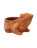 Open Clay Frog
