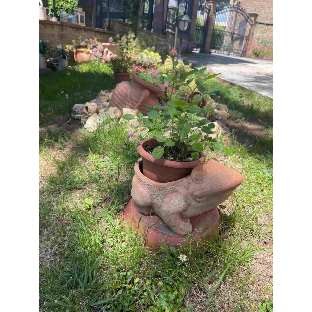 Rana aperta in terracotta | Terrecotte Cestenoli