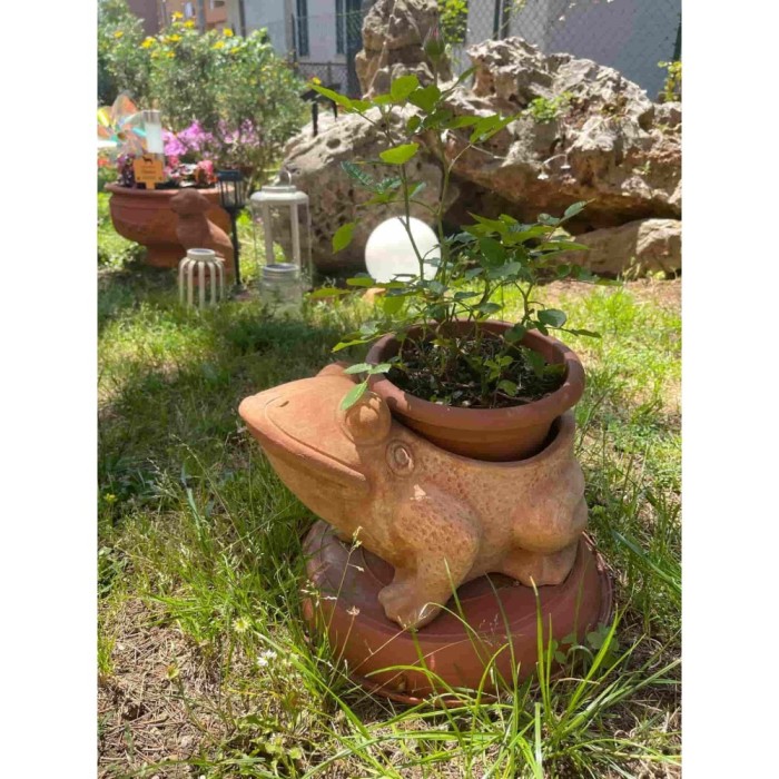 Rana aperta in terracotta | Terrecotte Cestenoli