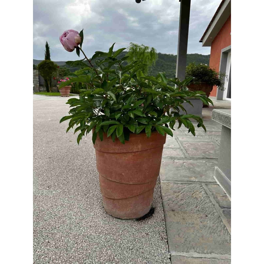 Vaso a fasce in Terracotta d'Impruneta | Terrecotte Cestenoli