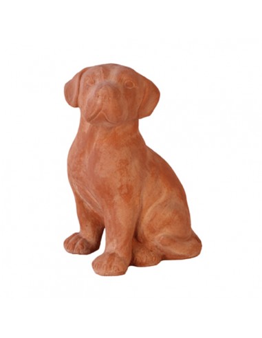 Cane Labrador in Terracotta
