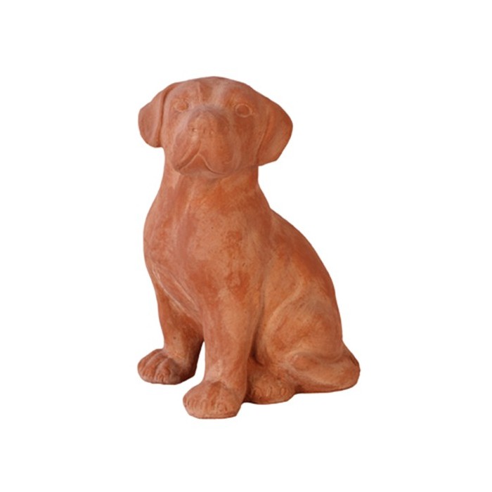 Cane Labrador in Terracotta