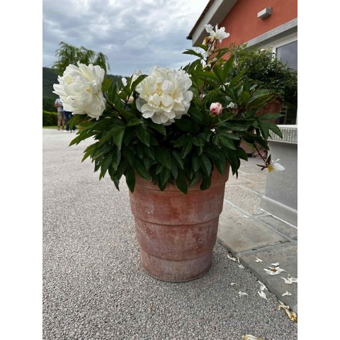 Impruneta Terracotta Band Vase 2