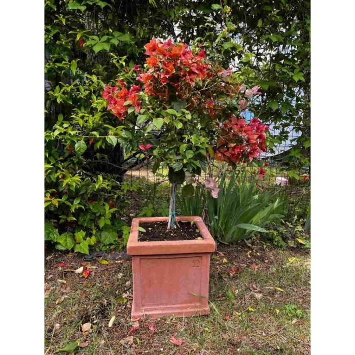 cubo liscio in terracotta fatto a mano, prodotto artigianale.