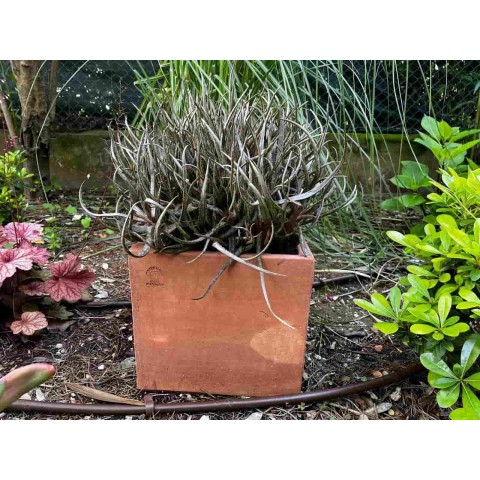 Smooth Impruneta Terracotta Square 2