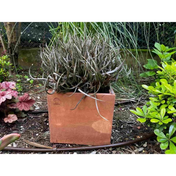 Quadrato liscio in terracotta d'Impruneta fatto a mano in galestro, shop online!