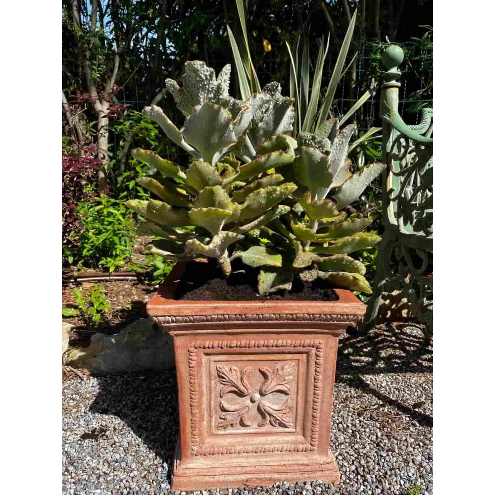 Vaso quadrato lavorato in terracotta | Terrecotte Cestenoli