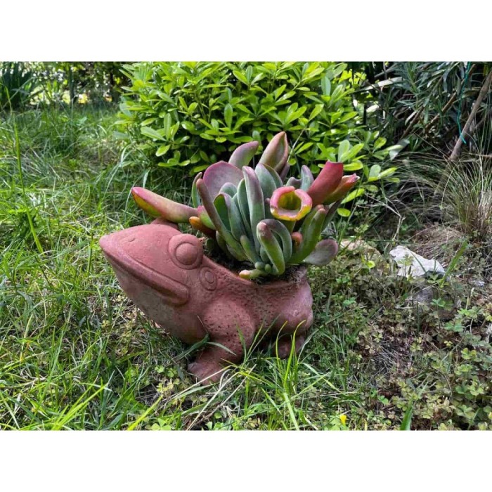 Rana aperta in terracotta | Terrecotte Cestenoli