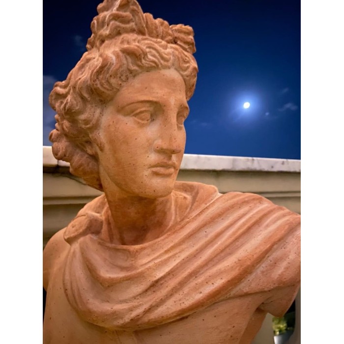 Terracotta Bust of Dionysus