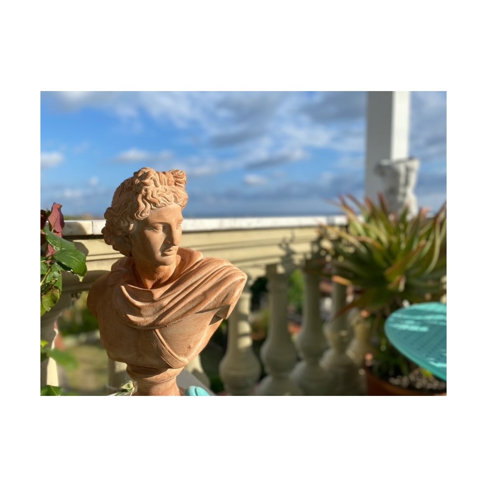 Busto Dioniso in terracotta | Terrecotte Cestenoli