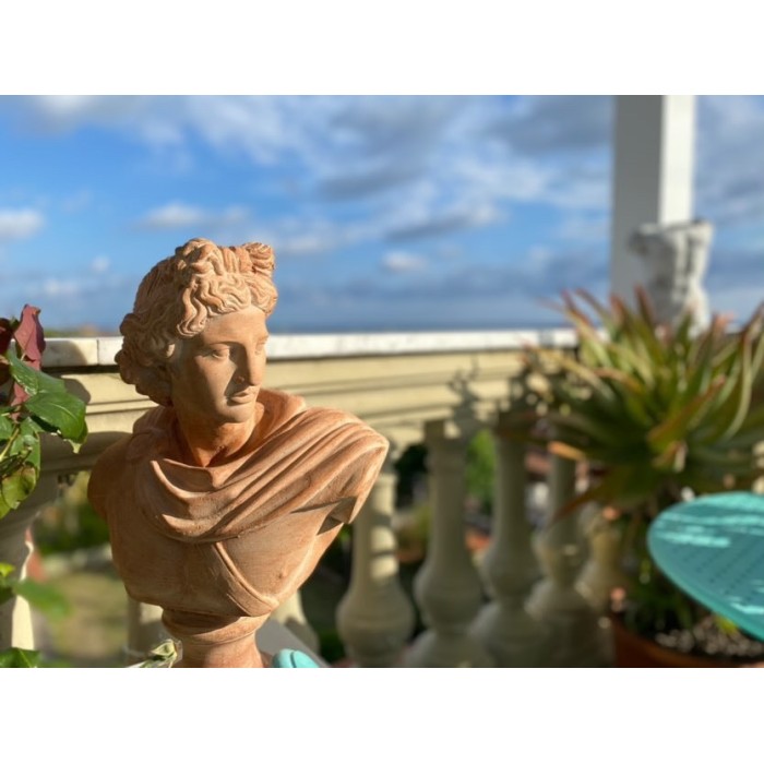 Busto Dioniso in terracotta | Terrecotte Cestenoli