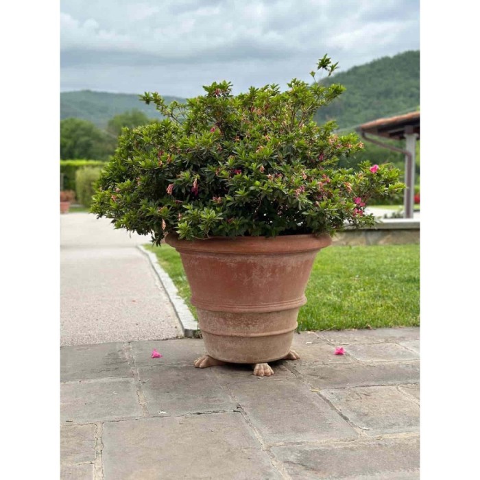 Smooth Impruneta Terracotta Vase