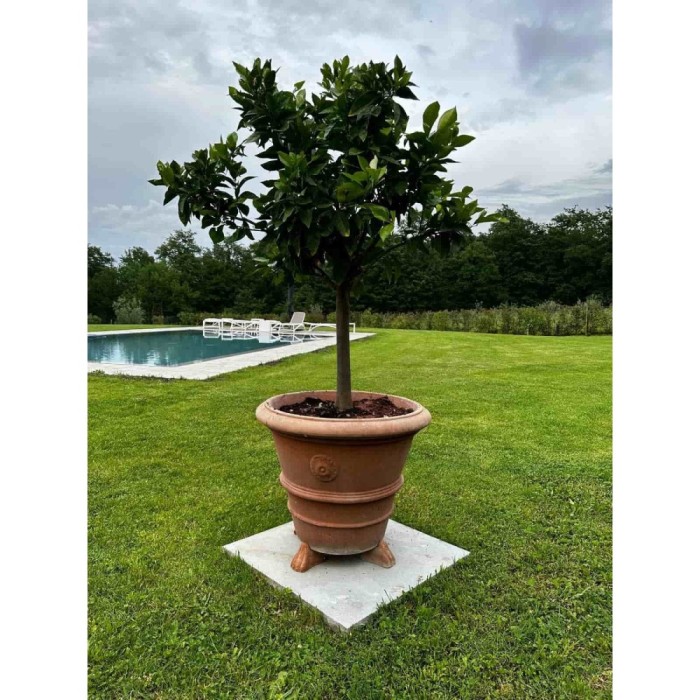 Vaso festonato con rosetta in terracotta Impruneta | Terrecotte Cestenoli