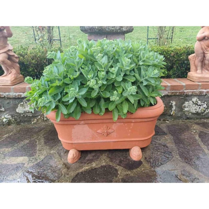 Ovale con rosone in terracotta d'Impruneta | Terrecotte Cestenoli