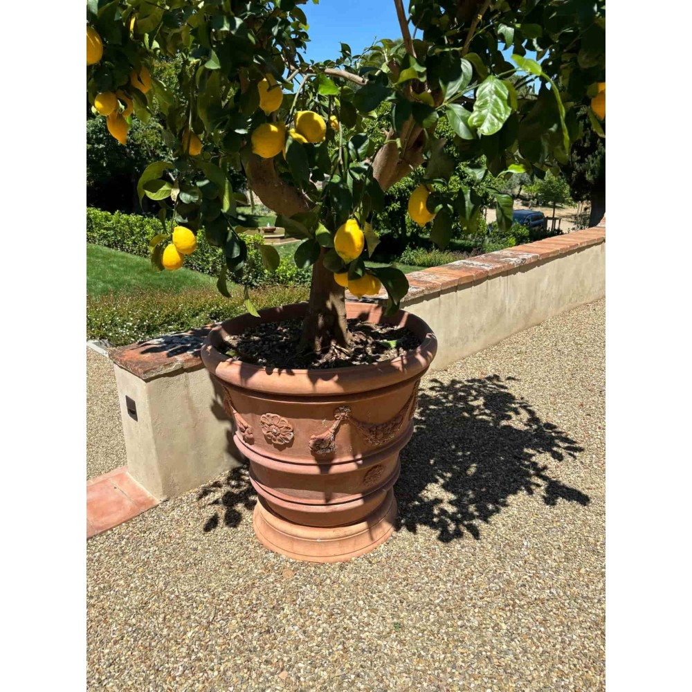 vaso festonato con rosone in terracotta d'Impruneta, shop online!