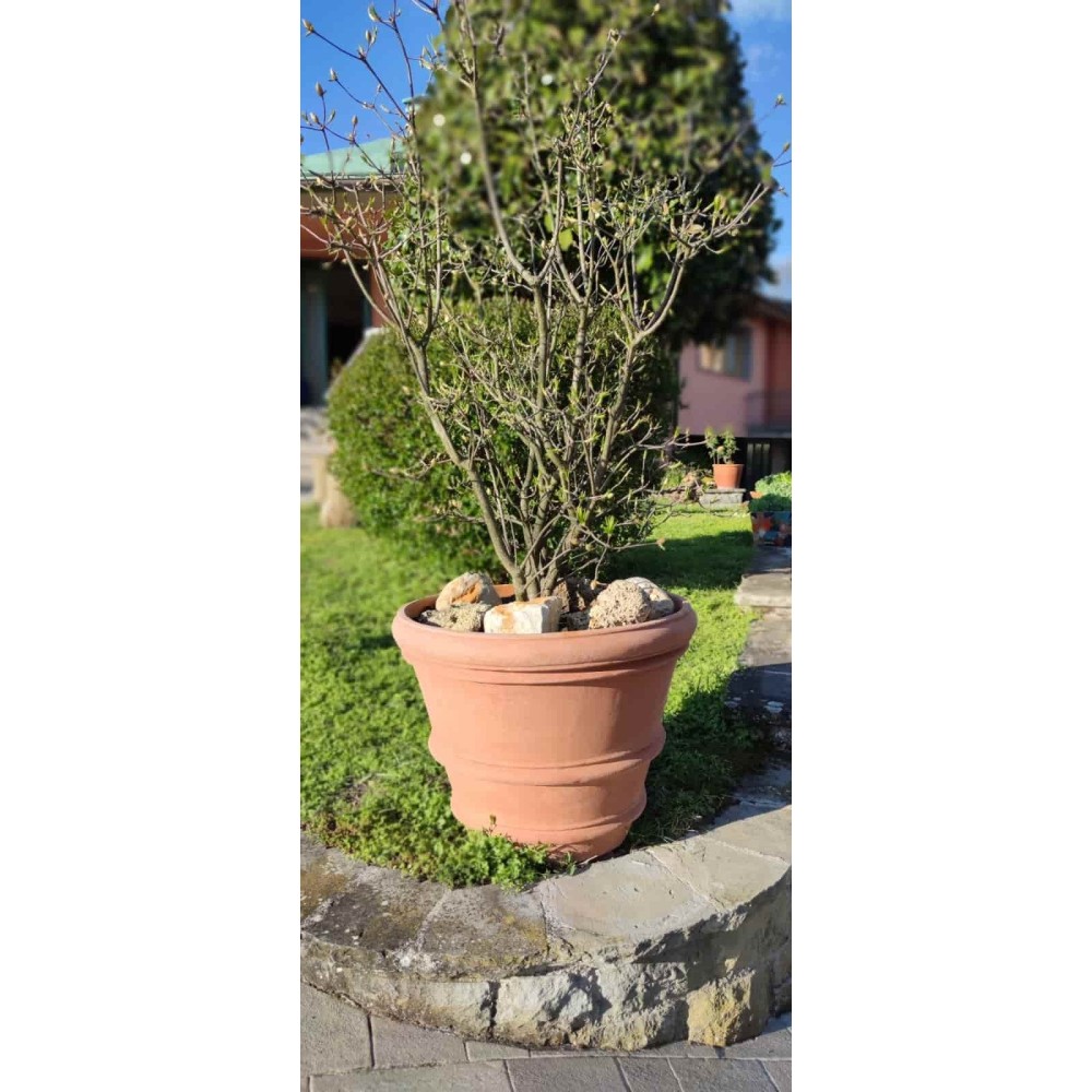 Vaso liscio in terracotta d'Impruneta fatto a mano, acquista adesso online!