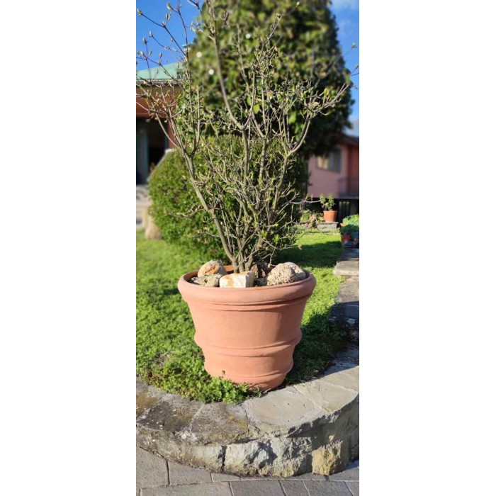 Smooth Impruneta Terracotta Vase